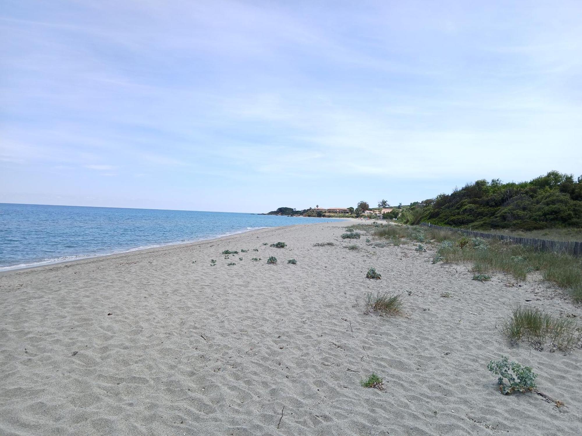 Terres De France - Les Hauts Du Maquis Linguizzetta Εξωτερικό φωτογραφία